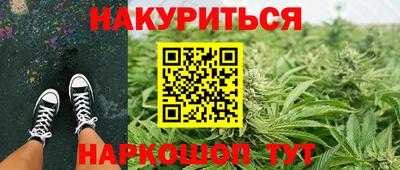дживик Кандалакша